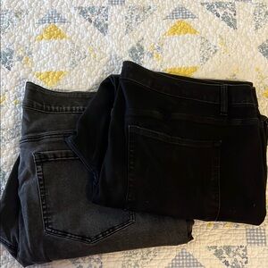 Lane Bryant Jeans